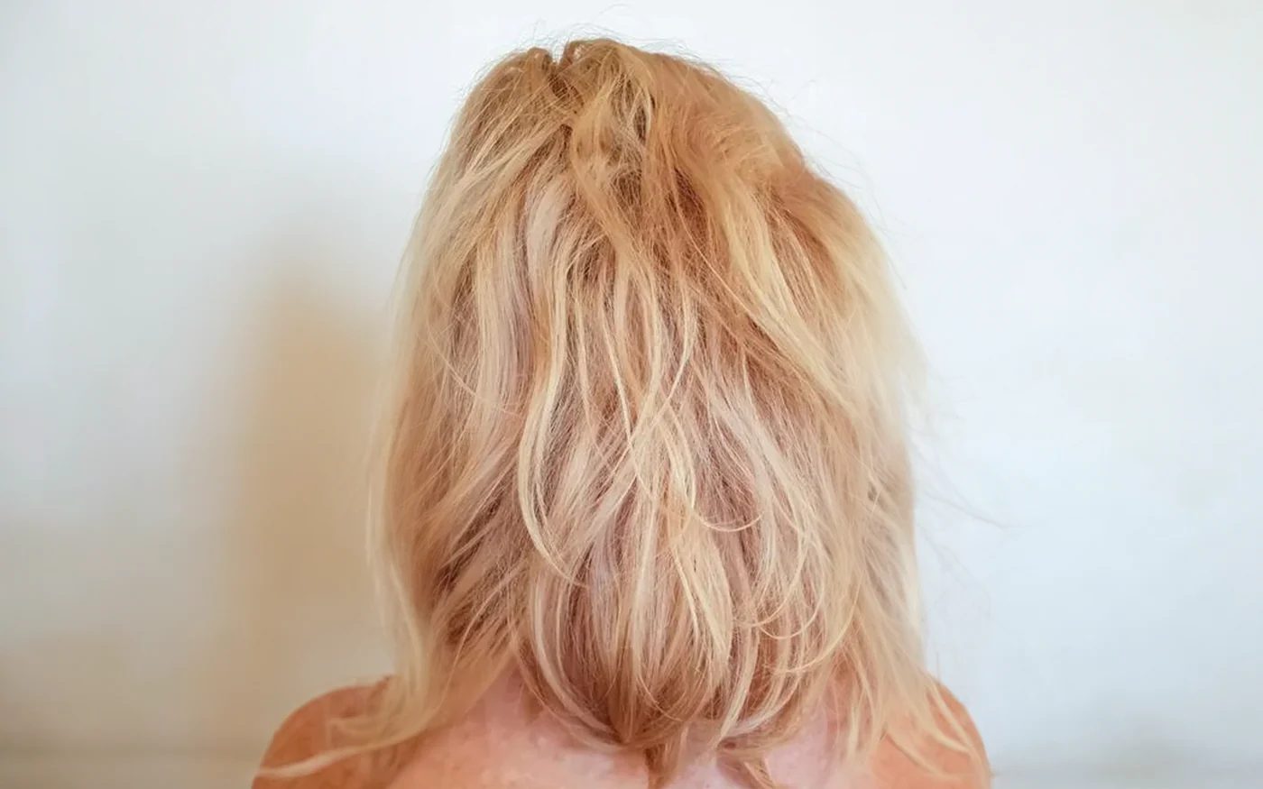 Before using GoBrush Pro