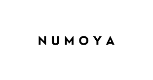 Flown Logo